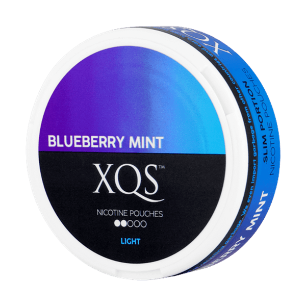 XQS Blueberry Mint Light nicotinezakjes