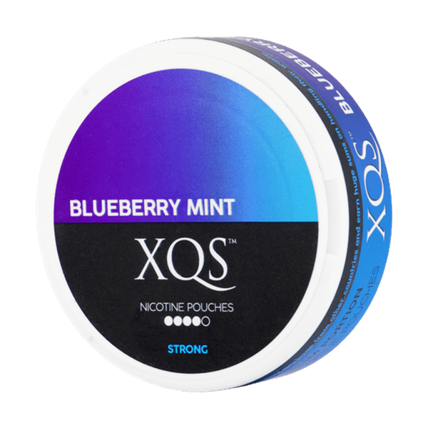 XQS Blueberry Mint Strong nicotinezakjes